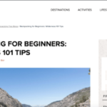 50 Lucrative Niche Website Ideas (With Examples)